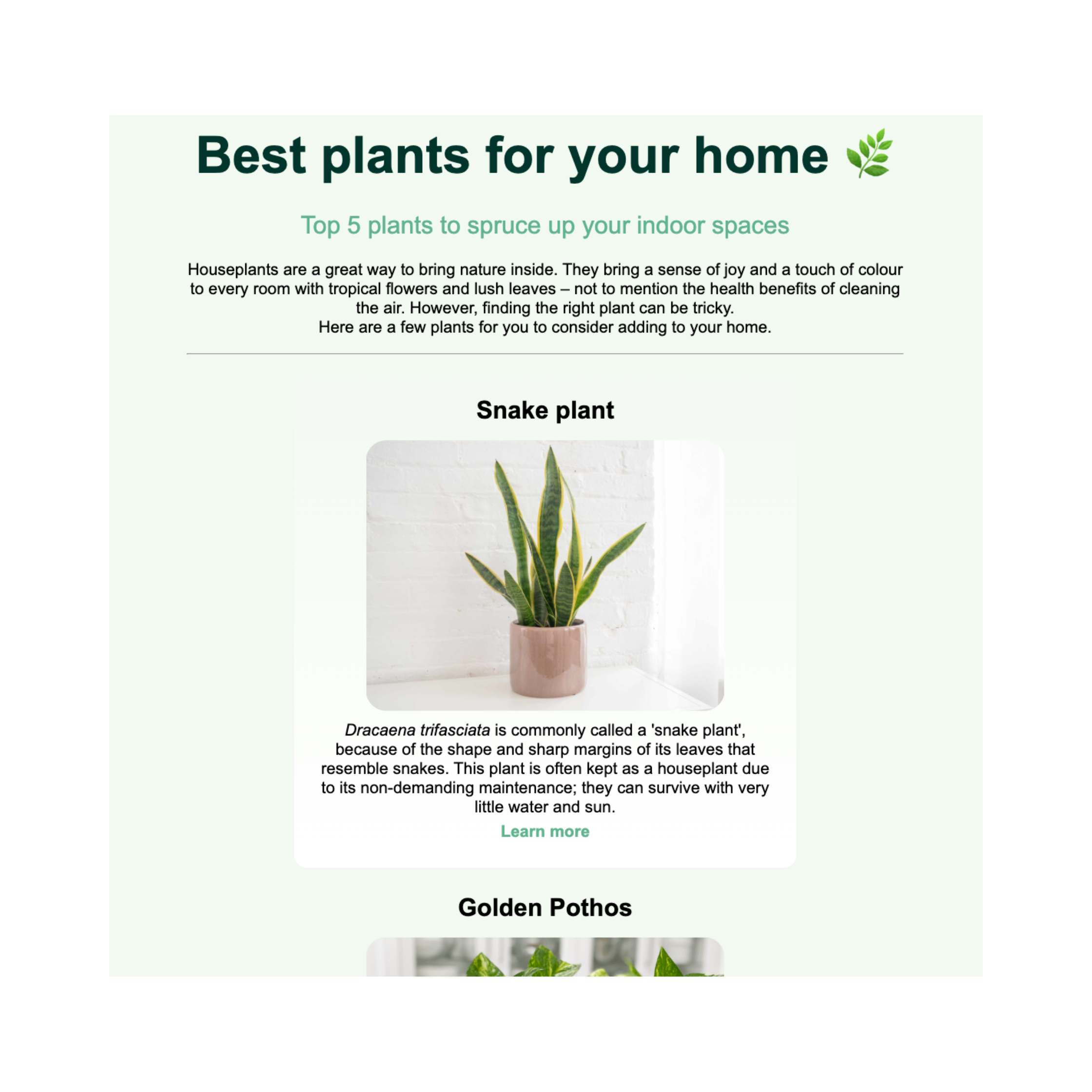 Best plants for your home preview